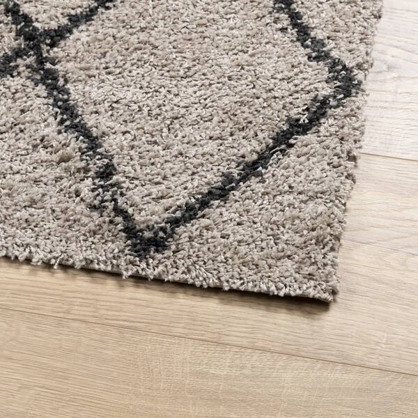 vidaXL Alfombra pelo largo moderna PAMPLONA beige antracita 120x170 cm
