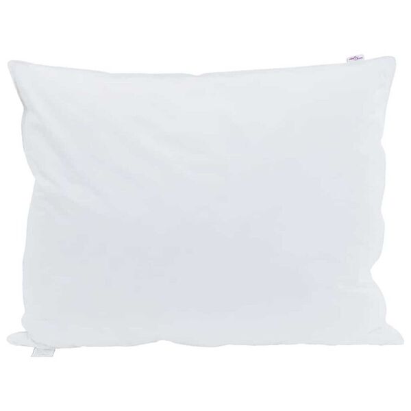 vidaXL Almohada con almohada 2 pcs 50 x 70 cm Pluma