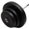 vidaXL Mancuerna curl con discos 60 kg