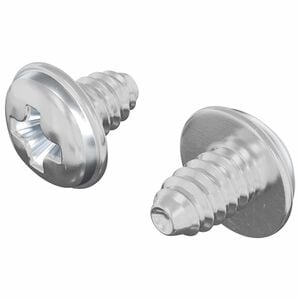 vidaXL Tornillos de Bloqueo 2 uds. Plateado M4 x 5 mm Hierro