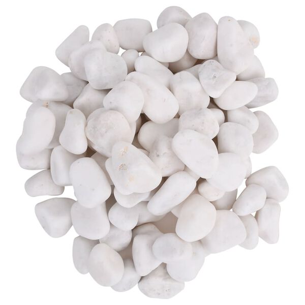vidaXL Guijarros pulidos blancos 25 kg 2-5 cm