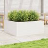 vidaXL Jardinera madera maciza de pino blanco 110x110x46 cm