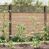 Imagen en miniatura del producto 2 de 11