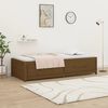 vidaXL Sof&aacute; cama sin colch&oacute;n madera maciza pino marr&oacute;n miel 80x200 cm