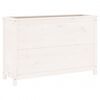 vidaXL Arriate elevado de jard&iacute;n madera de pino blanco 119,5x40x78 cm