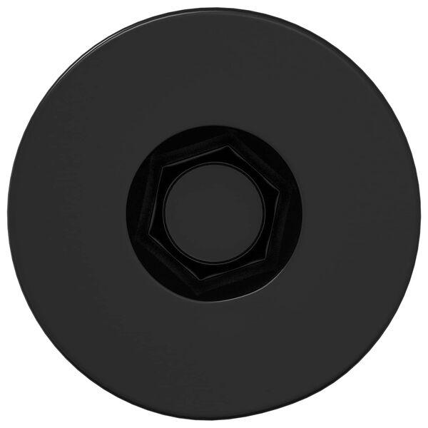 vidaXL Tornillo de Cabeza de Capuch&oacute;n de Enchufe 12 pcs Negro Hierro