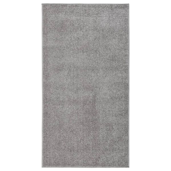vidaXL Alfombra de pelo corto gris 80x150 cm