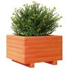 vidaXL Jardinera madera maciza de pino marr&oacute;n cera 40x40x26,5 cm
