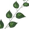 vidaXL Pothos Artificial 5 pcs Verde 300 cm Pl&aacute;stico