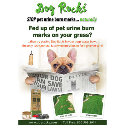 Dog Rocks Rocas para perros antimanchas de orina