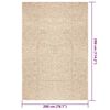 vidaXL Alfombra ZIZUR aspecto yute interior/exterior beige 200x290 cm