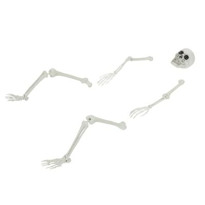 Esqueleto de Halloween con estacas blanco 45,5 x 13 cm