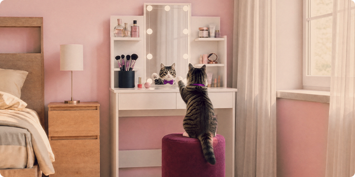 Gato sentado en un tocador con estantes de almacenaje en un dormitorio rosa.