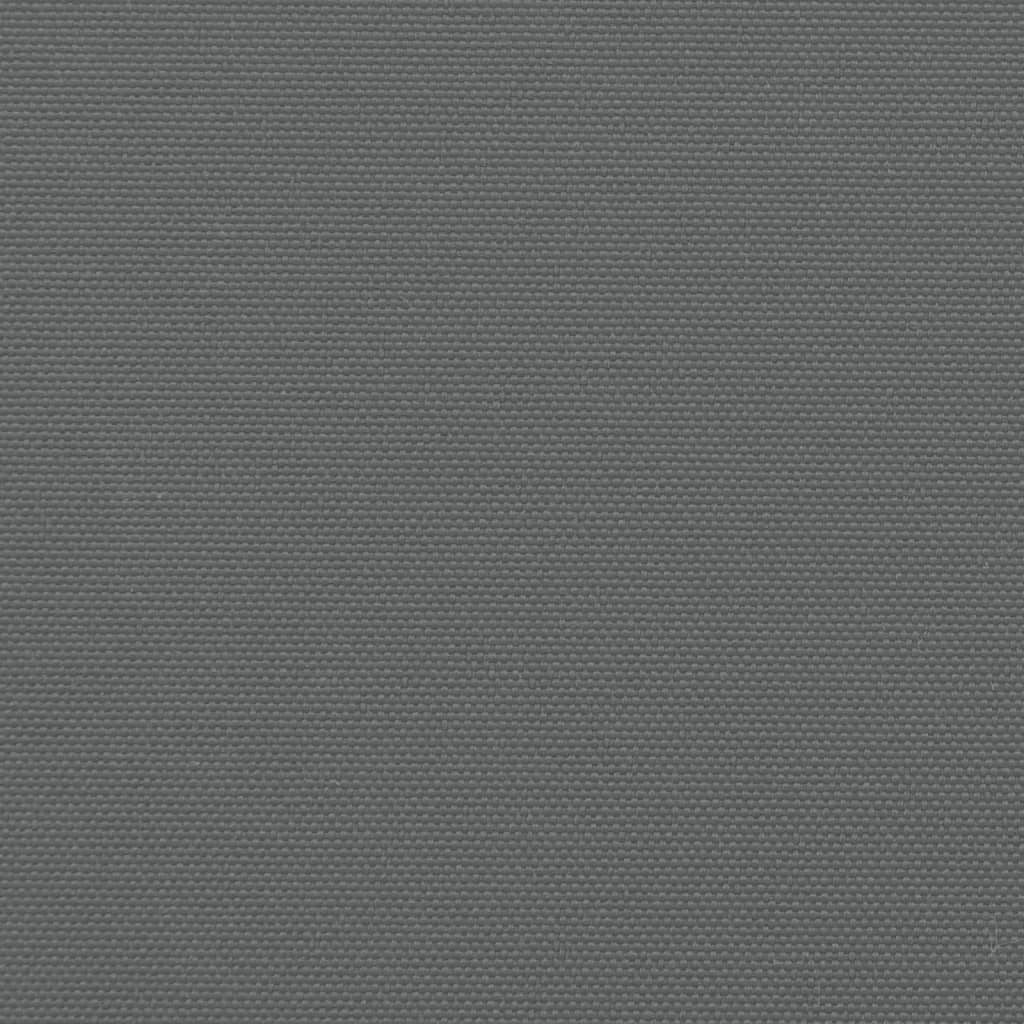 vidaXL Toldo lateral retráctil gris antracita 200x300 cm