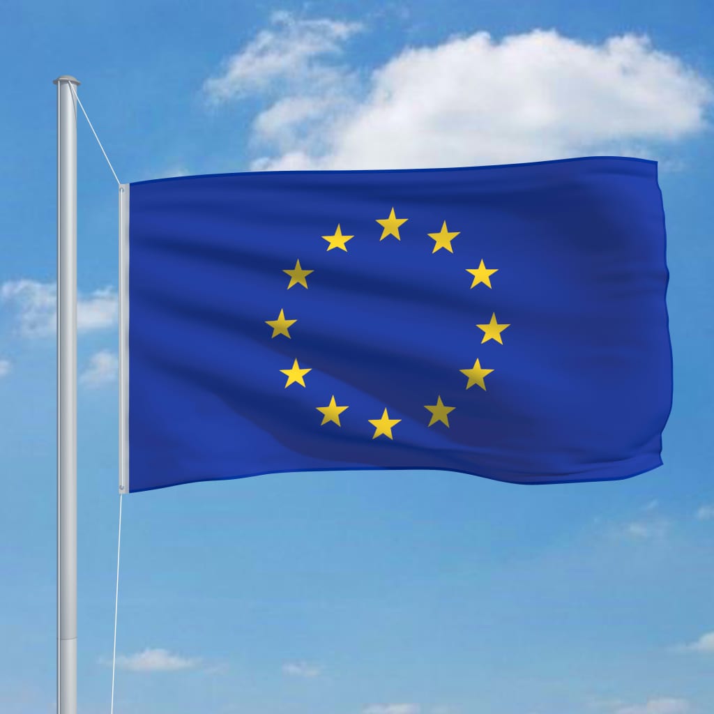 vidaXL Bandera de la Unión Europea 90x150 cm