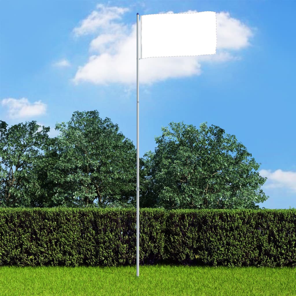 vidaXL Asta de bandera telescópica de aluminio 6 m