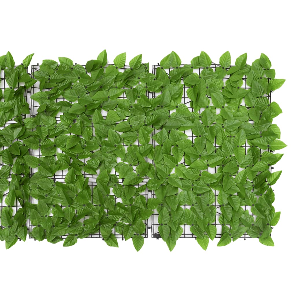 vidaXL Toldo para balcón con hojas verde 500x75 cm