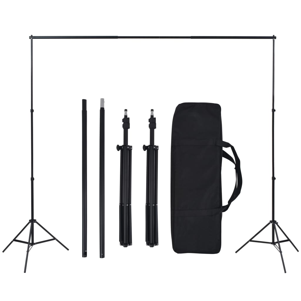 vidaXL Kit de iluminación de estudio de fotografía