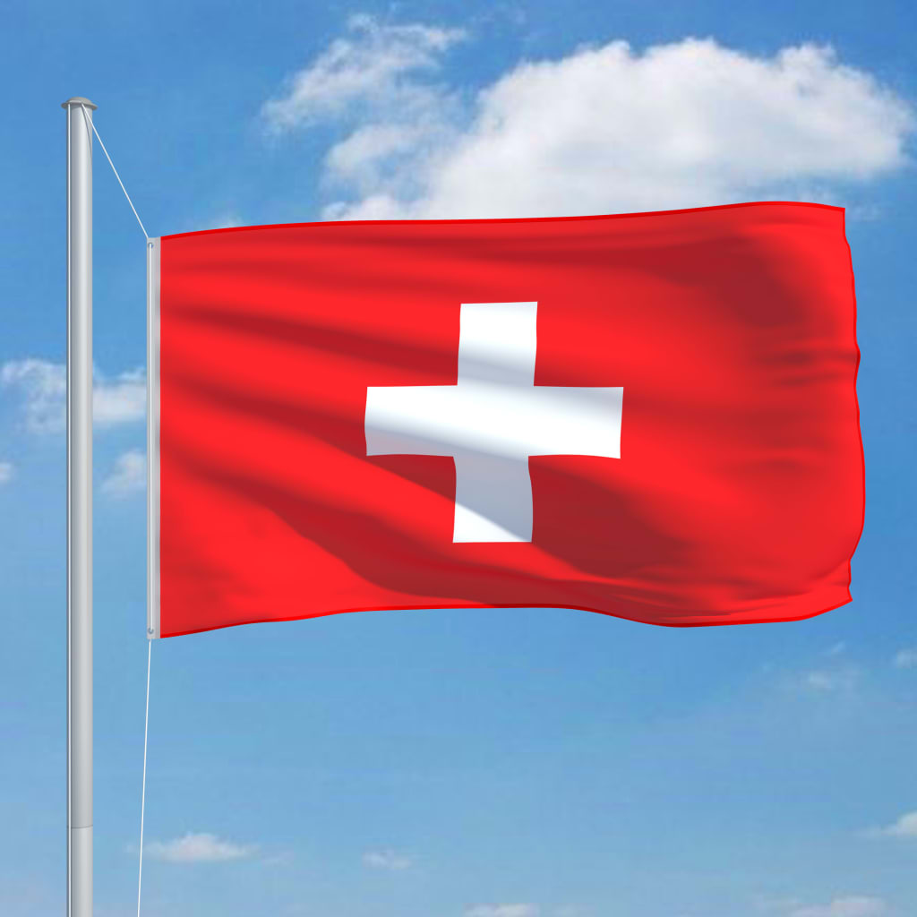 vidaXL Bandera de Suiza y mástil de aluminio 6,2 m