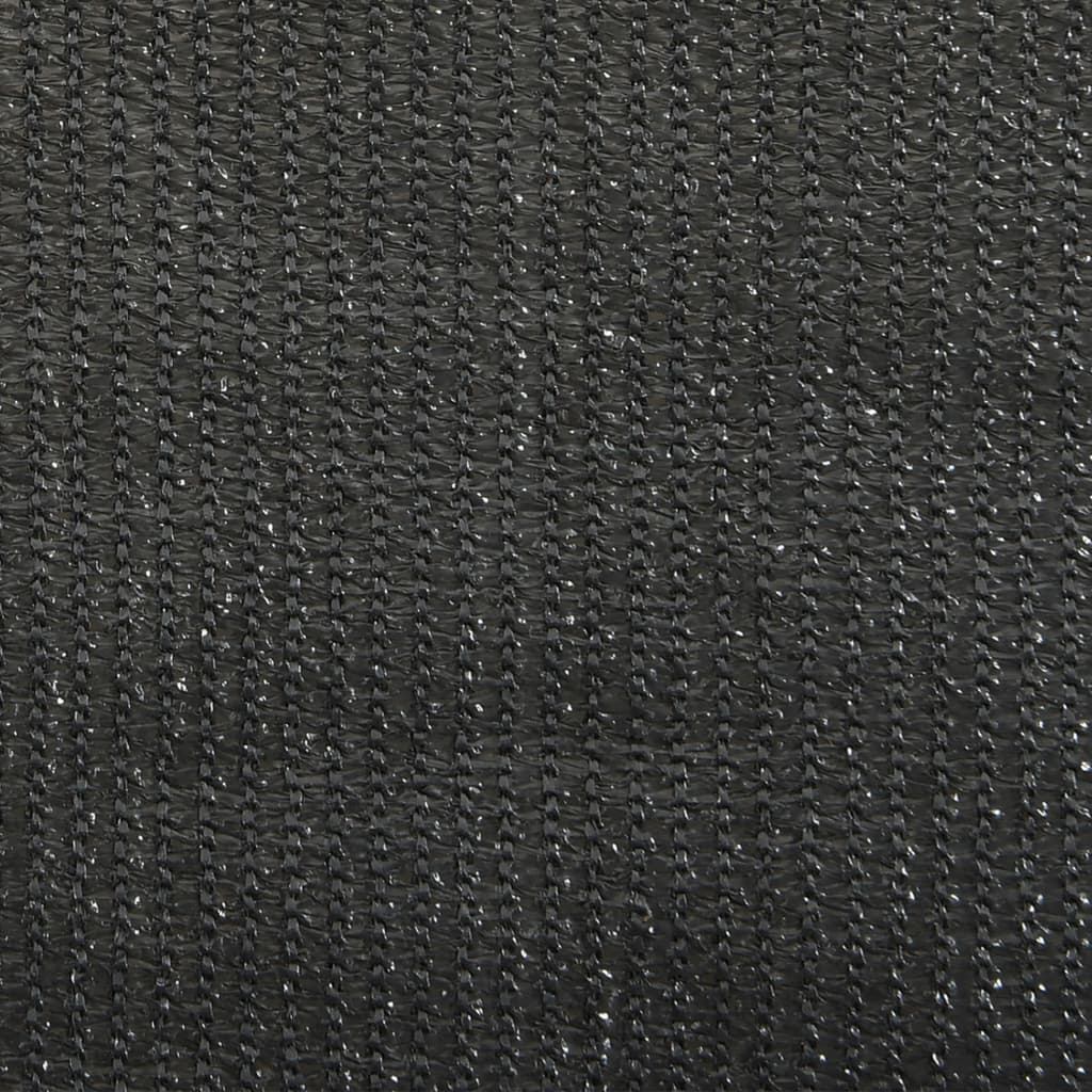 vidaXL Persiana enrollable de exterior 60x140 cm gris antracita