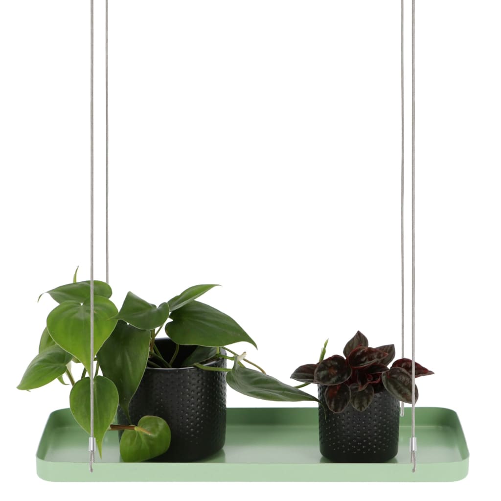 Esschert Design Bandeja colgante para plantas rectangular verde S