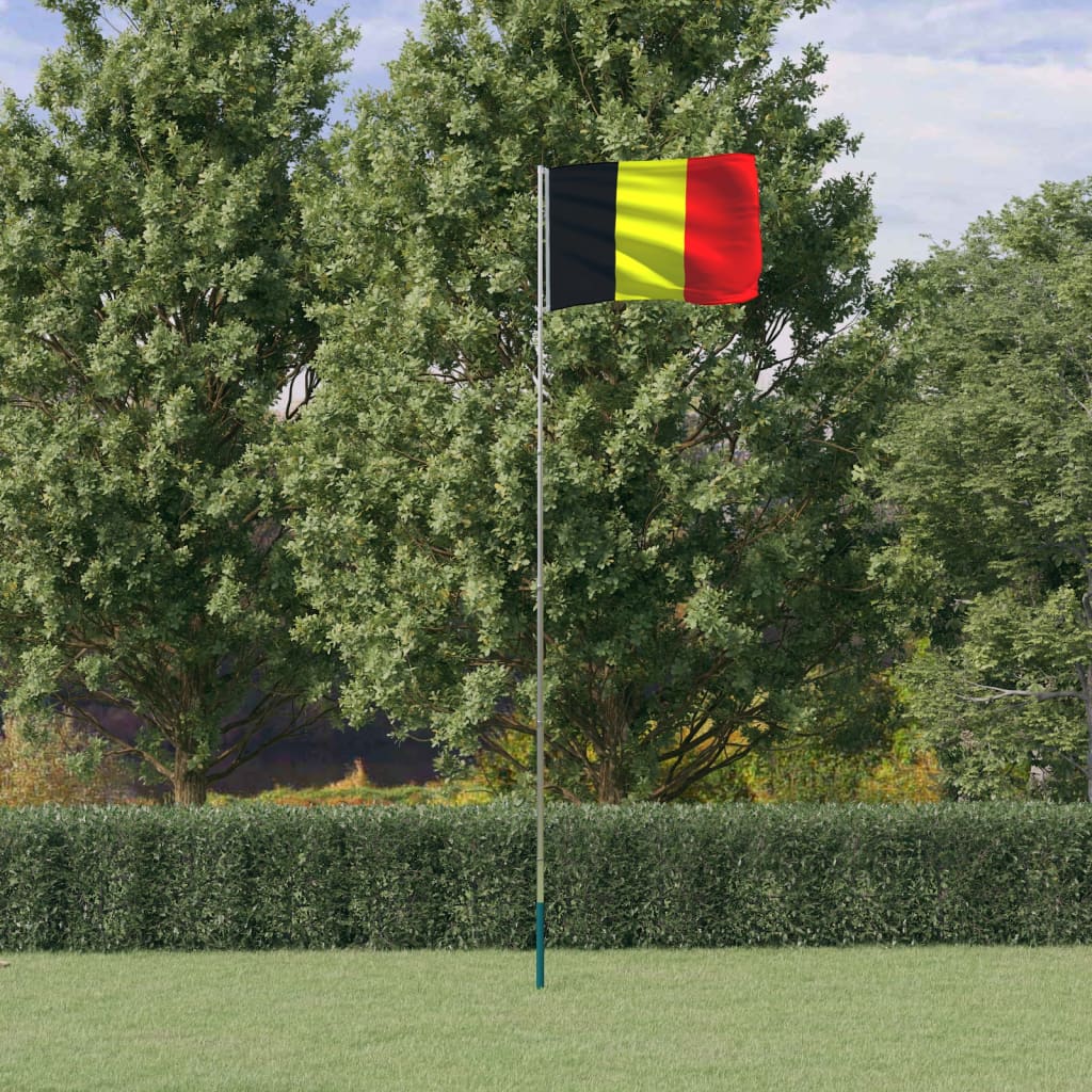 vidaXL Mástil y bandera de Bélgica aluminio 5,55 m