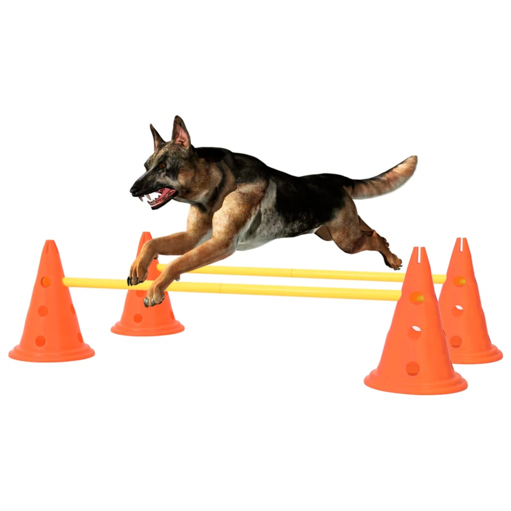 vidaXL Juego de obstáculos para perros naranja y amarillo