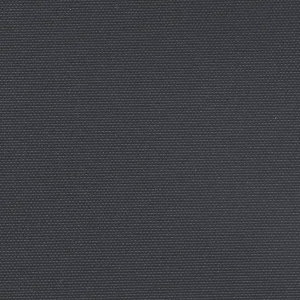 vidaXL Toldo lateral retráctil negro 160x500 cm
