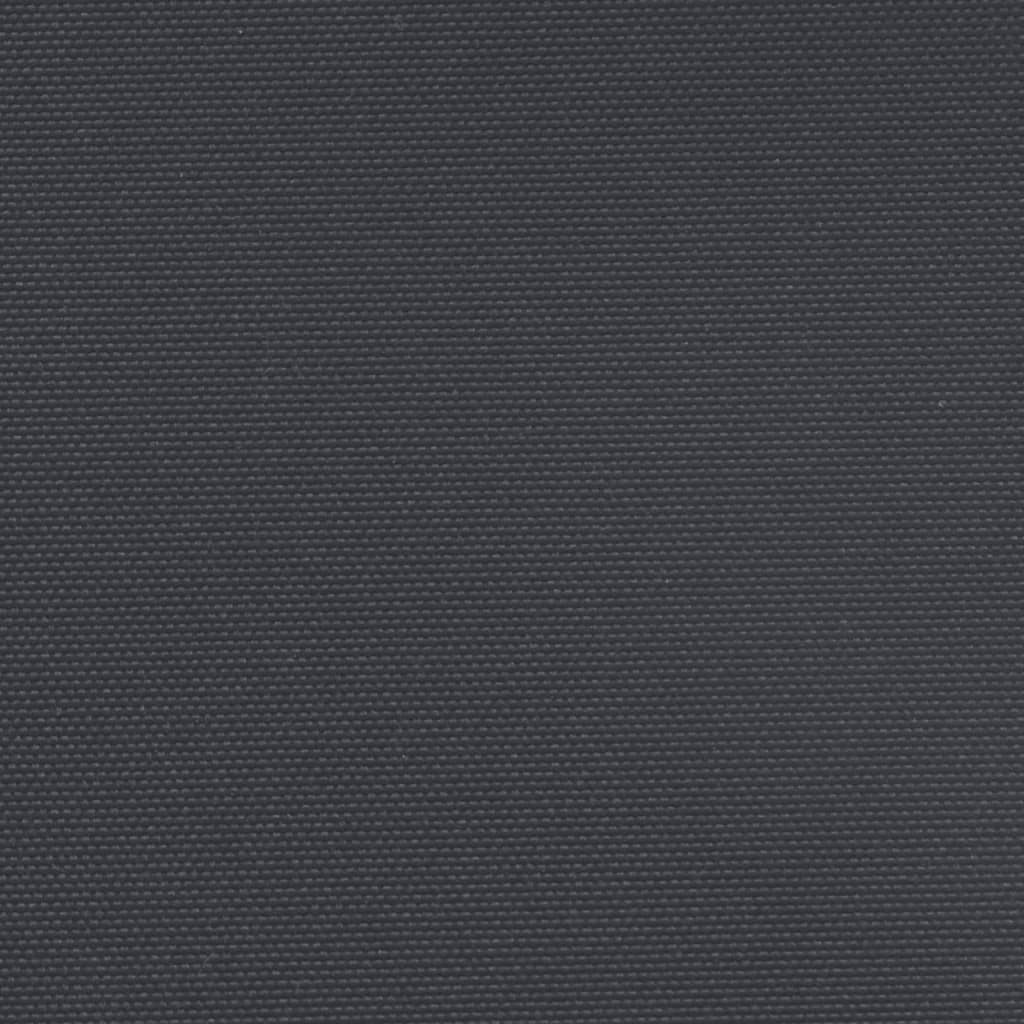 vidaXL Toldo lateral retráctil negro 120x1000 cm