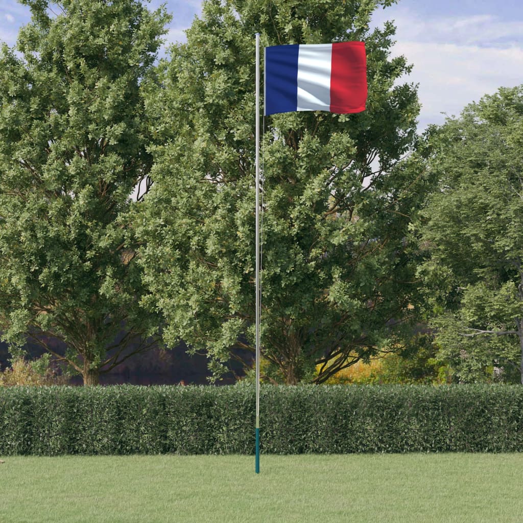 vidaXL Mástil y bandera de Francia aluminio 6,23 m