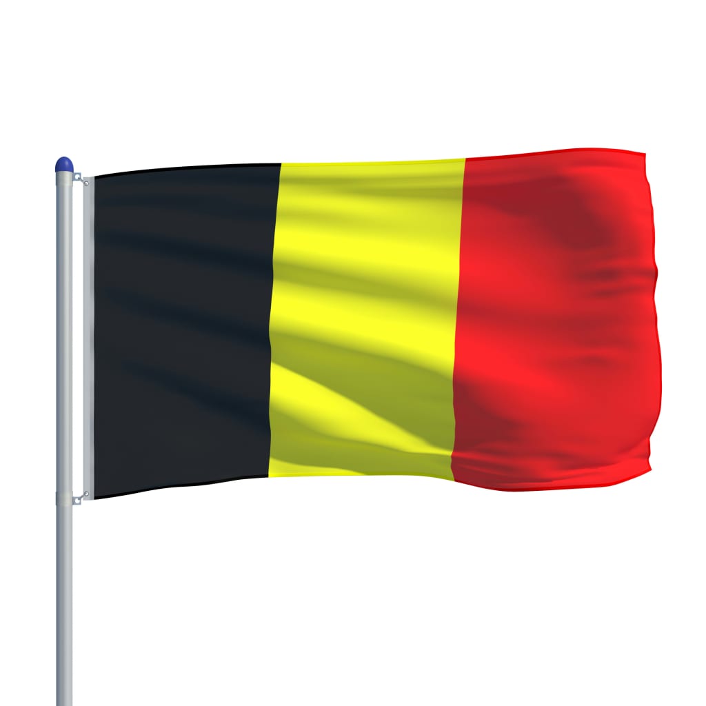 vidaXL Bandera de Bélgica y mástil de aluminio 6 m