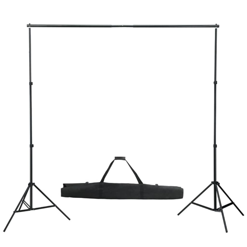 vidaXL Sistema de soporte de telón fondo fotográfico 600x300 cm negro