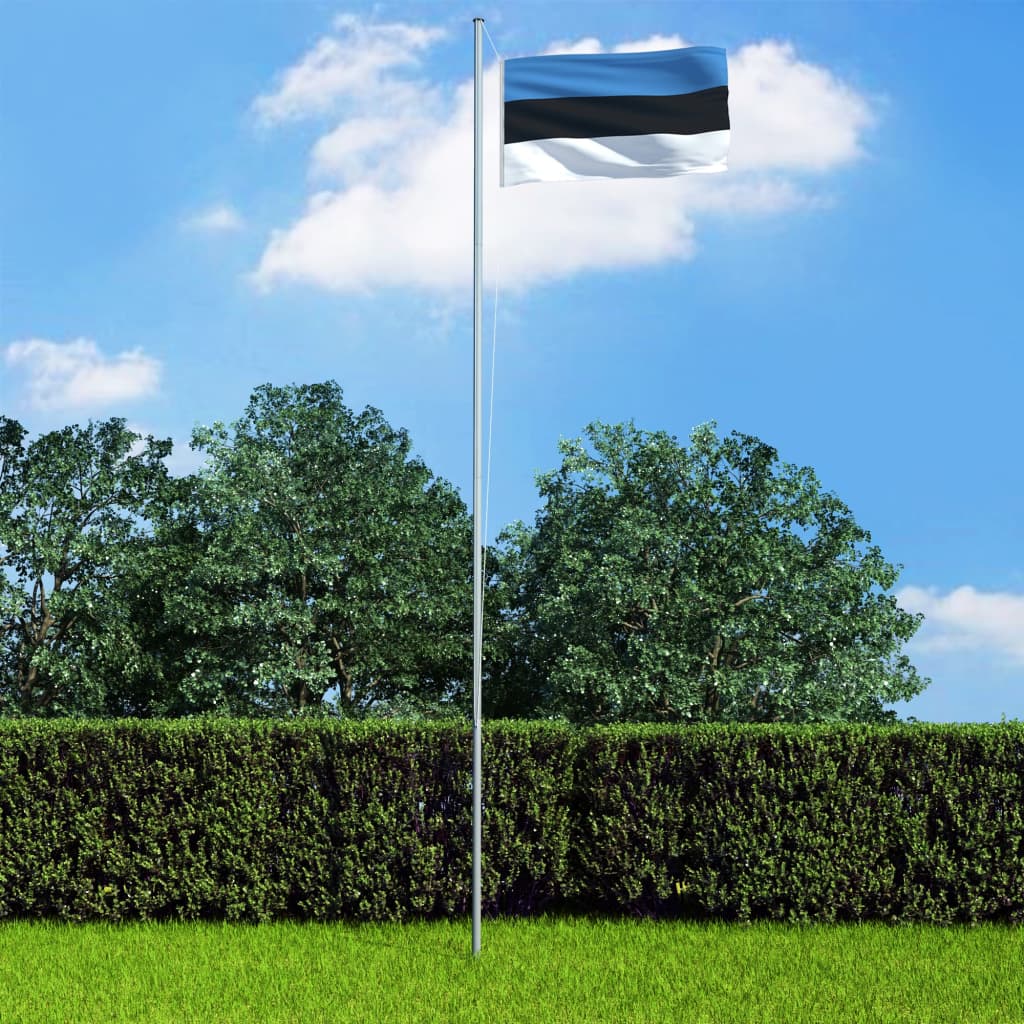 vidaXL Bandera de Estonia y mástil de aluminio 6,2 m