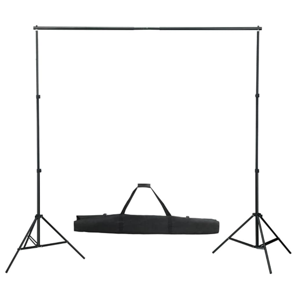 vidaXL Kit de estudio fotografía con set de luces y fondo