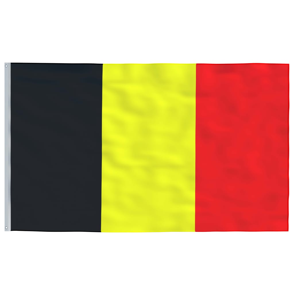 vidaXL Bandera de Bélgica y mástil de aluminio 6 m