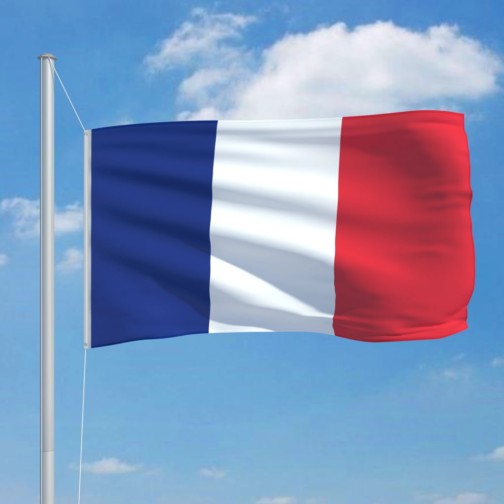 vidaXL Bandera de Francia 90x150 cm