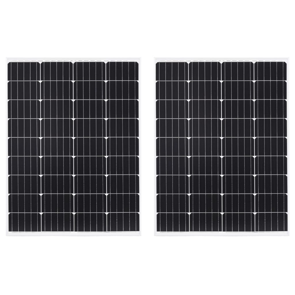 vidaXL Paneles solares monoscristalinos 2 uds vidrio seguridad 100 W