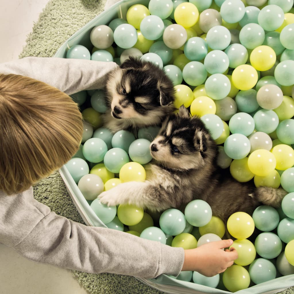 Beeztess Piscina de bolas para cachorros FUNCHIE