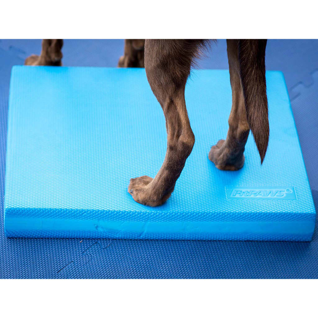 FitPAWS Colchoneta de equilibrio para mascotas azul 38x46x5 cm