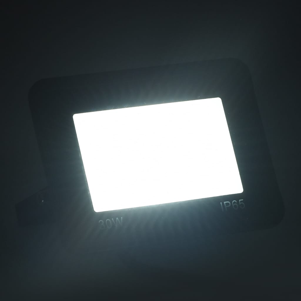 vidaXL Foco LED 30 W blanco frío