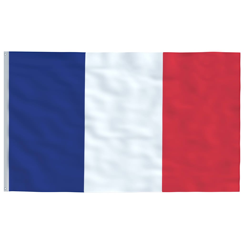 vidaXL Mástil y bandera de Francia aluminio 5,55 m