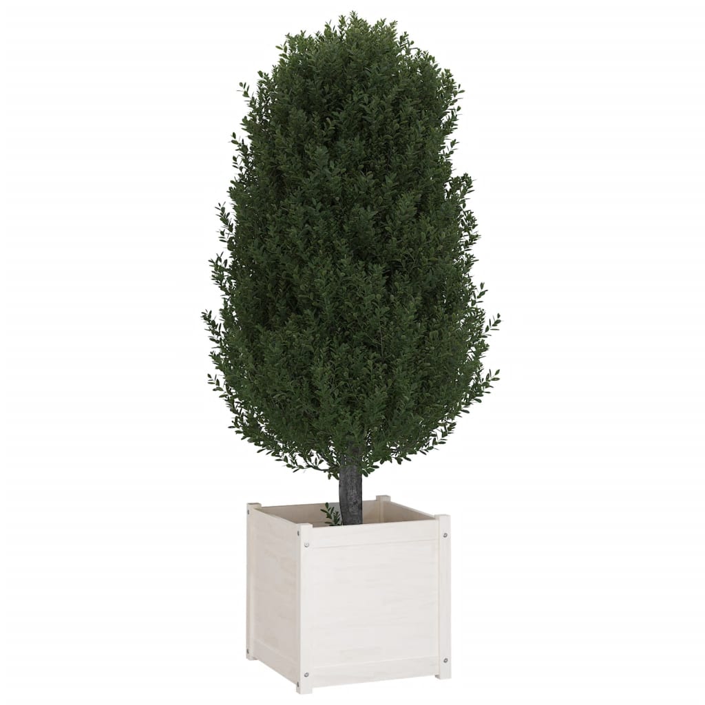 vidaXL Jardinera madera maciza de pino blanco 50x50x50 cm