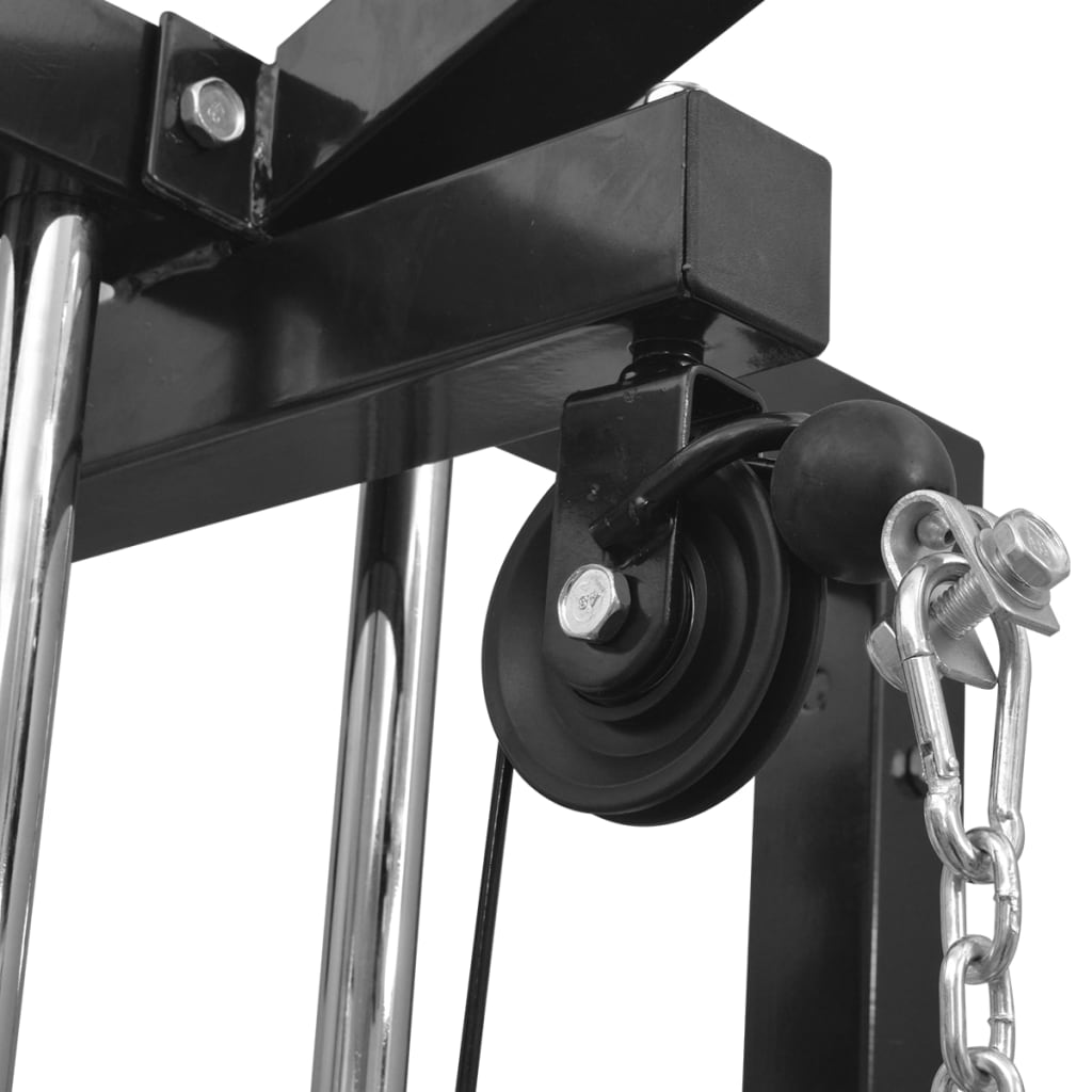 vidaXL Máquina de poleas y cables de gimnasio 315 cm negro
