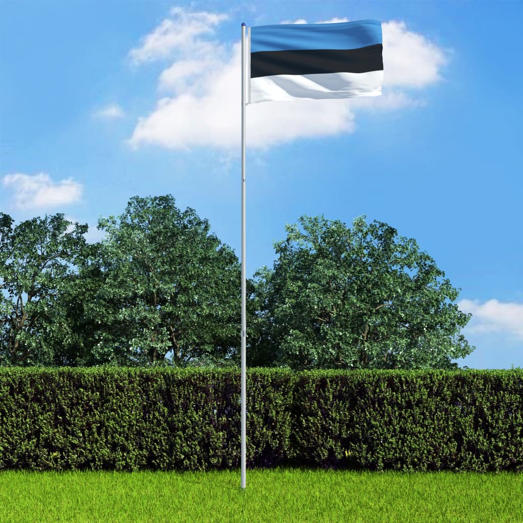 vidaXL Bandera de Estonia y mástil de aluminio 6 m