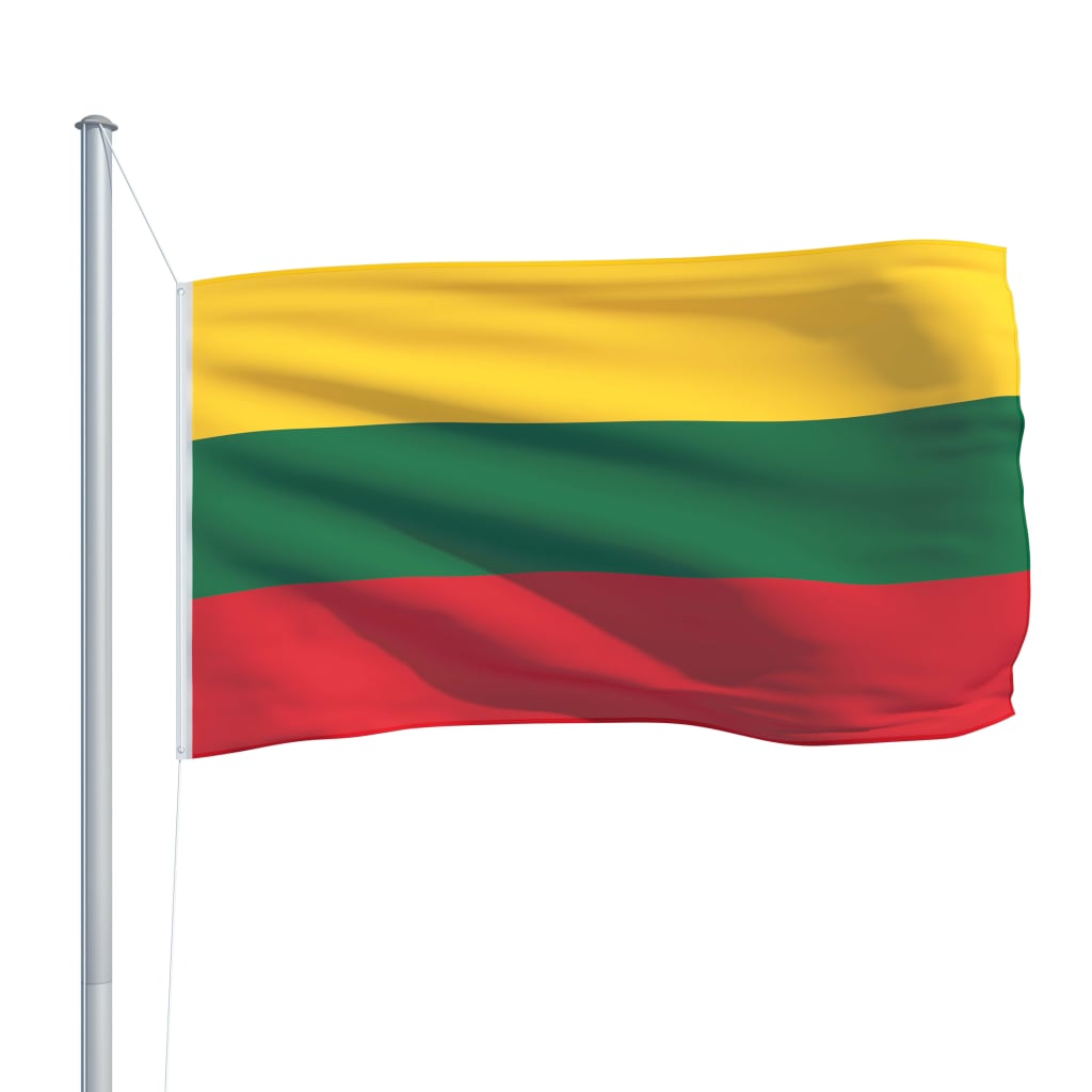 vidaXL Bandera de Lituania y mástil de aluminio 6,2 m