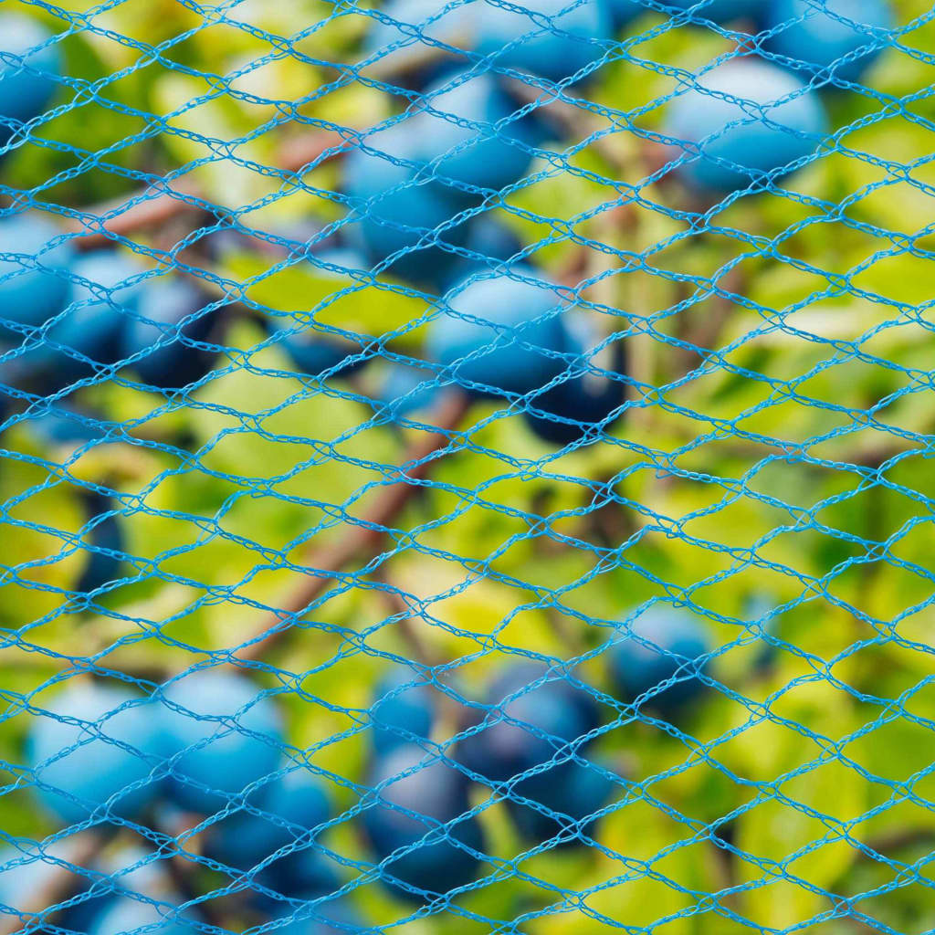 Nature Red protectora de pájaros Nano azul 10x4 m
