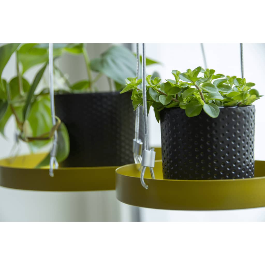 Esschert Design Bandeja colgante para plantas redonda dorada S