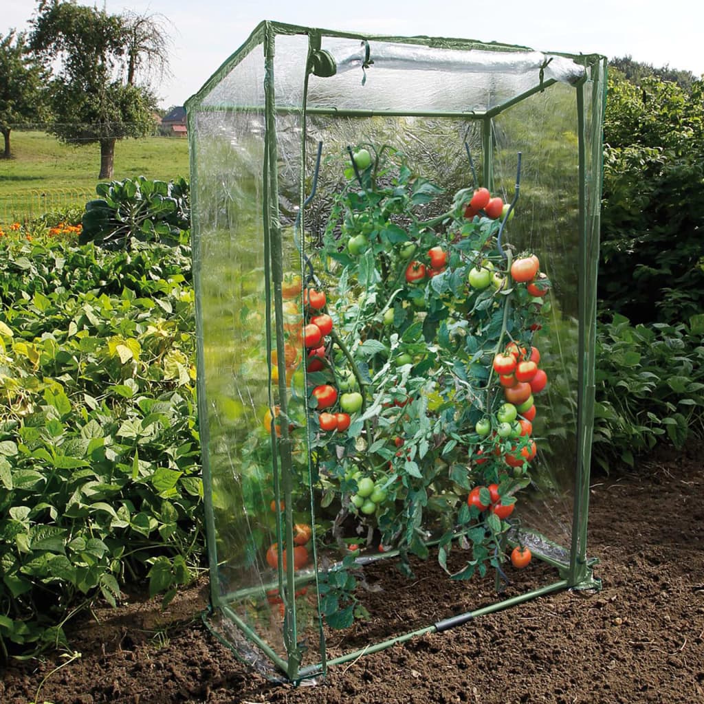 Nature Invernadero para tomates 100x50x150 cm