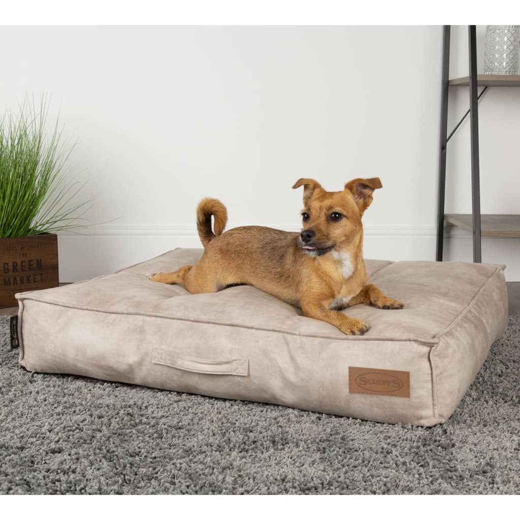 Scruffs & Tramps Colchón para perros Kensington crema L 100x70 cm