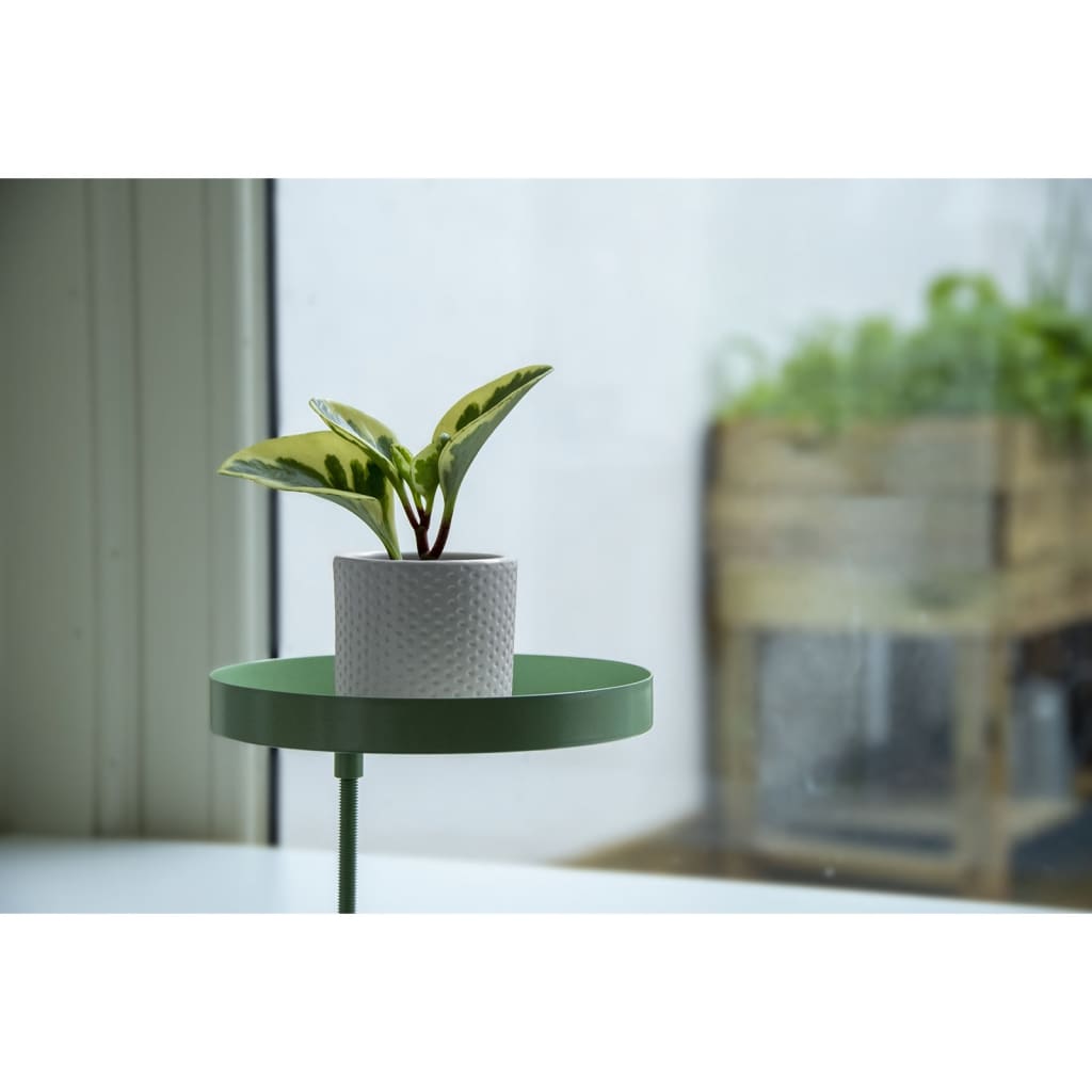 Esschert Design Bandeja para plantas con abrazadera redonda verde M